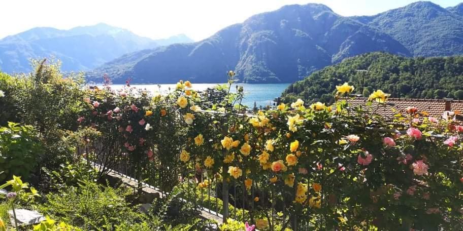 Magic Garden With Jacuzzi-Pool And Luxury Lake Como View لينّو المظهر الخارجي الصورة