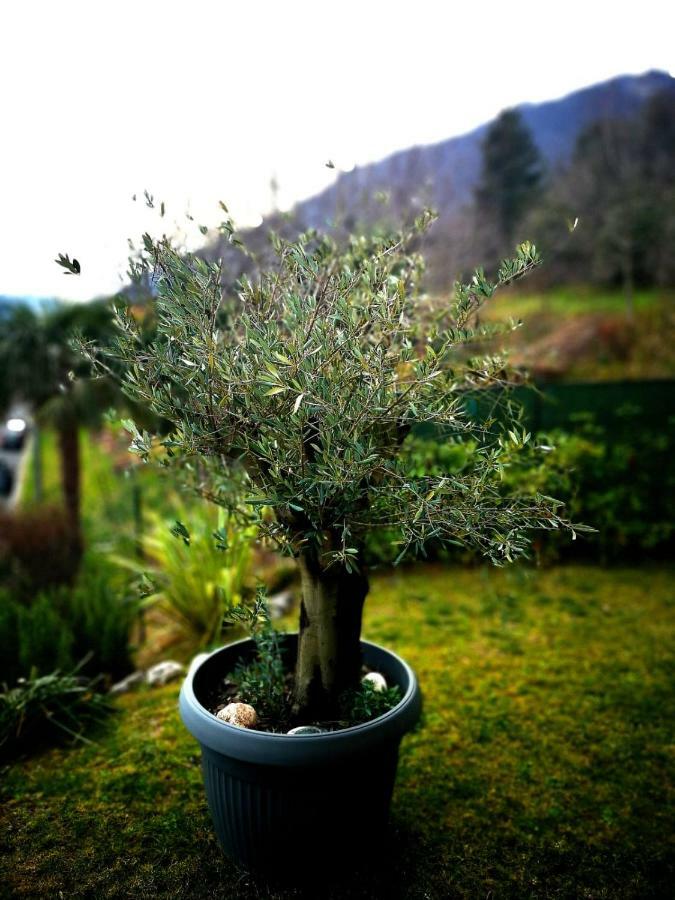 Magic Garden With Jacuzzi-Pool And Luxury Lake Como View لينّو المظهر الخارجي الصورة